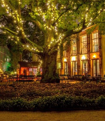 Must-visit: Hortus by Night