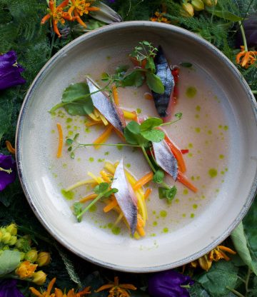 Foodini Hotspot: Nomads