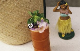 Hotspot: Hula Hula