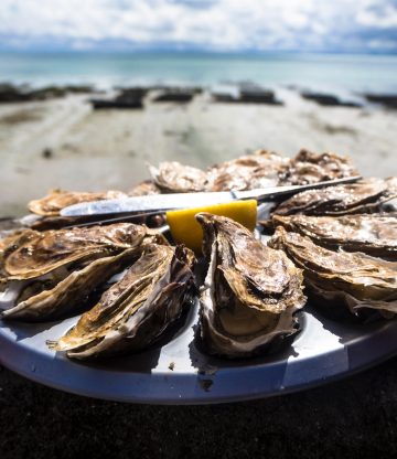 weekend-tip: Bubbels & Oesters XXL
