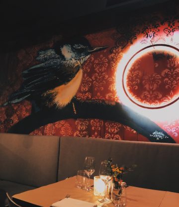 Hotspot: Bar BAUT – het beste van 7 jaar BAUT