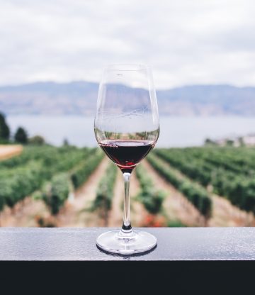 Zo kies jij je favoriete wijn!