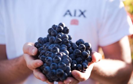 Aix Rosé Vintage 2021; een lekkere doordrinker!