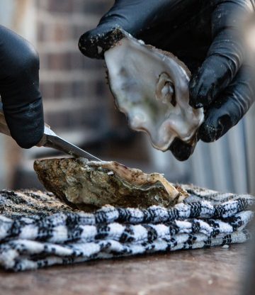 KOESTER JE OESTER – OESTERWANDELING 21/07